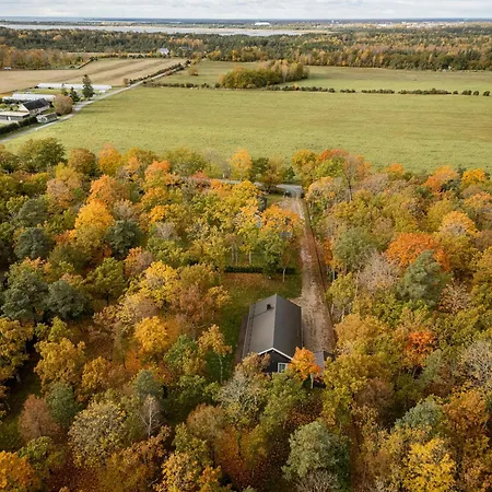 The Peaceful Vacation *