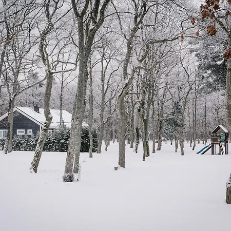 The Peaceful Vacation