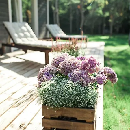 Hébergement de vacances The Peaceful Vacation Muratsi