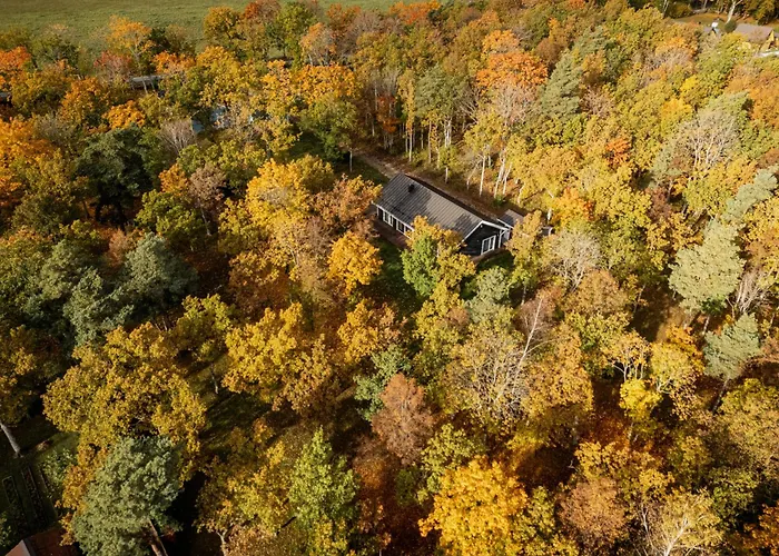 The Peaceful Vacation بيت للعطل Muratsi