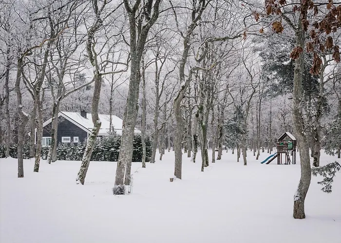 The Peaceful Vacation